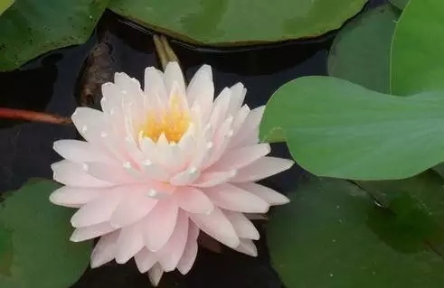 ����֮���������ܺ����ദ��