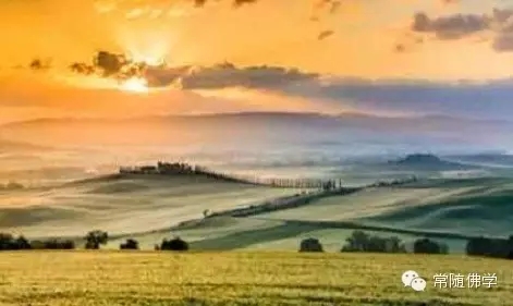 关爱生命 关爱生命