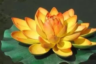 �����뾻��������Ӧ����̬��֪��