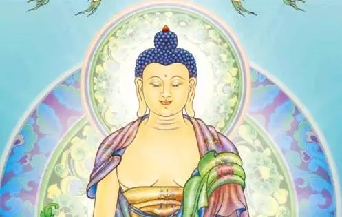 ��������������