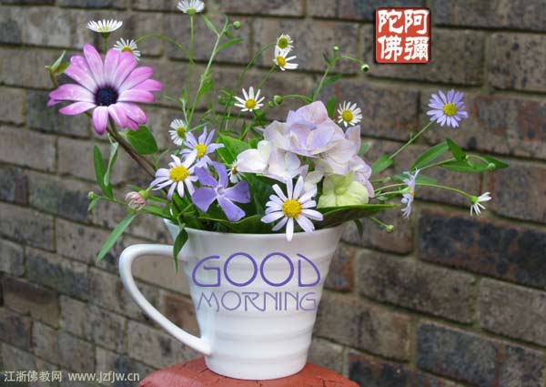 一帮念佛的人,不知何故都错过了坠毁的这趟班机 一帮念佛的人,不知何故都错过了坠毁的这趟班机