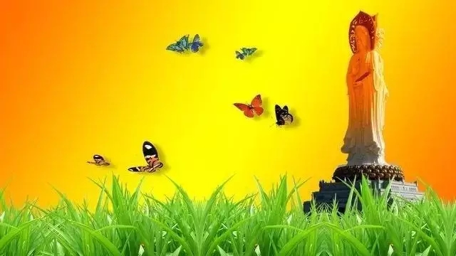 ����ʱ�ŷ�����������ʵ