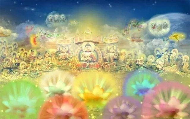 ��͢�ֳ����������������仹���ĸ�Ӧ����