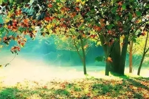 �����޷���ȡ���10��������