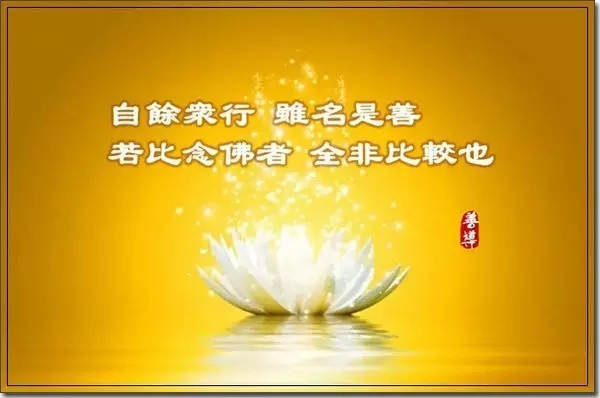 ����������ҵ�������ĸ�Ӧ����