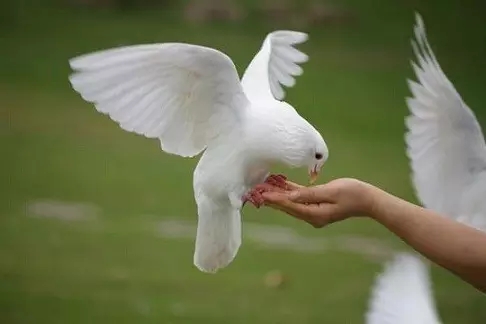 �ɷ�֮·_�ô����￪ʼ��