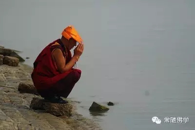 ���������ĸ���