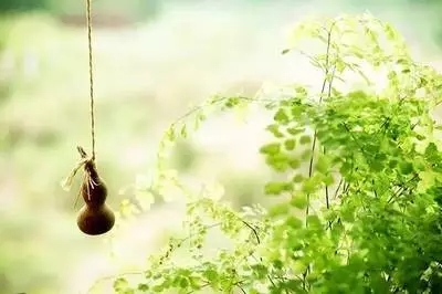 ��Ҳ��_��Ҳ��