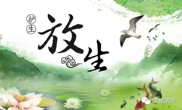 ����������ɻ�