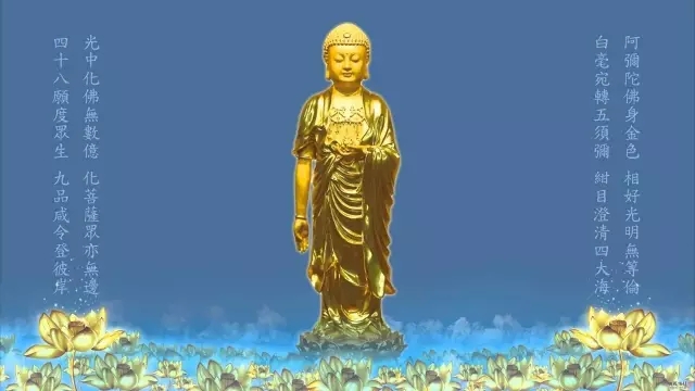 Ը������ʵ�������ߵ�����