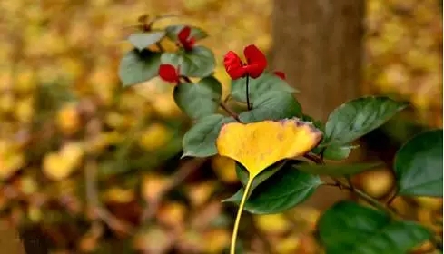 ʱʱ���ڷ������������