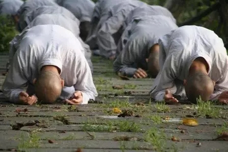 拜佛时为何双手翻掌? 拜佛时为何双手翻掌?