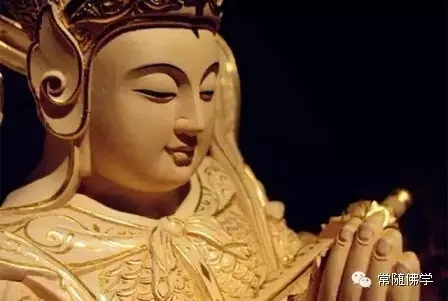 ���˶��л�����