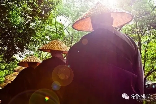 菩提路_|_苦乐人生中辗转求佛道 菩提路_|_苦乐人生中辗转求佛道