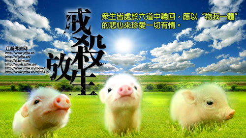 ���f��ʮ�N�О飬�������L����