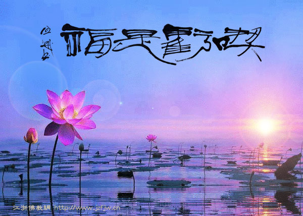 ��̝������̎���ɹ��Ĳ������T