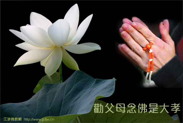 �����е��仯������������Ԫ��