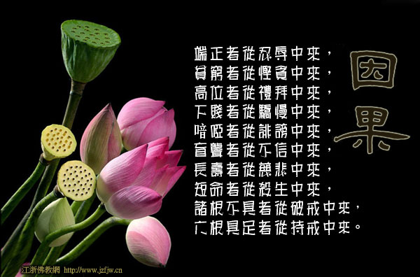 皮肤癌末期,放生四个月以后,癌症消失得无影无踪 皮肤癌末期,放生四个月以后,癌症消失得无影无踪