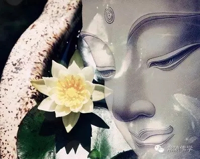 �������� ���¼�������