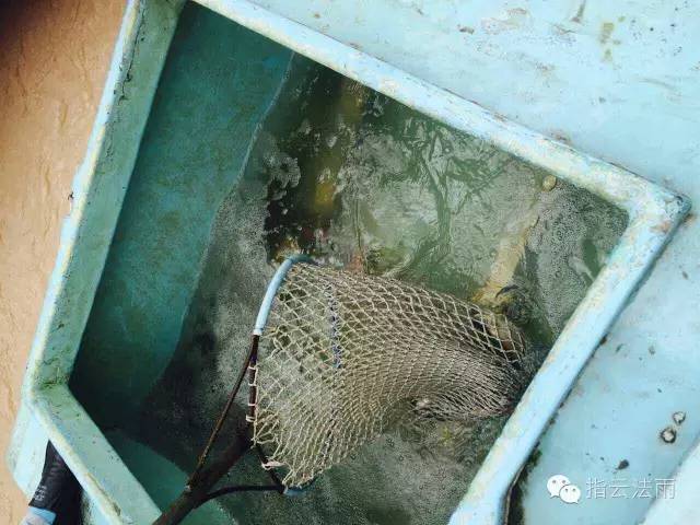 ����������̶�����³�һ��������_��ͼƬ��