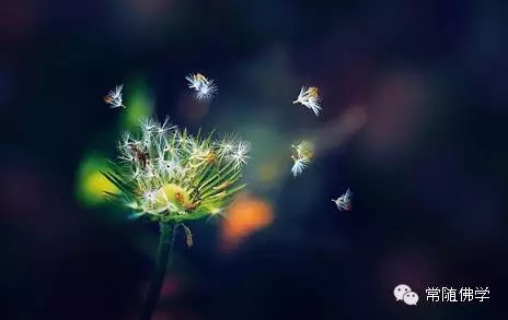 �����ĸ����㣺����ӵ�е�_����ʧȥ��