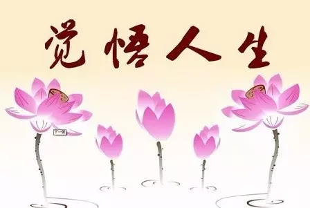 ��ΰ����Ƿ�_������ȷ�������ۣ�