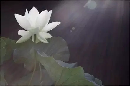 ������̰��