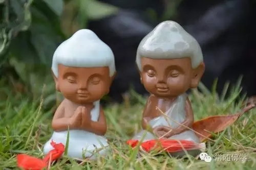 ��Ҫ��ѧ�𵱳�ֹʹƬ