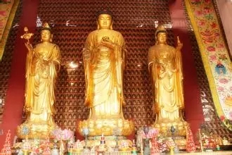 清定上师开示:法界众生同时在念佛 清定上师开示:法界众生同时在念佛