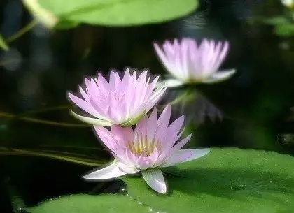 ��ʿ��ѧ��Ĺ����У�Ӧ������Щ���Σ�