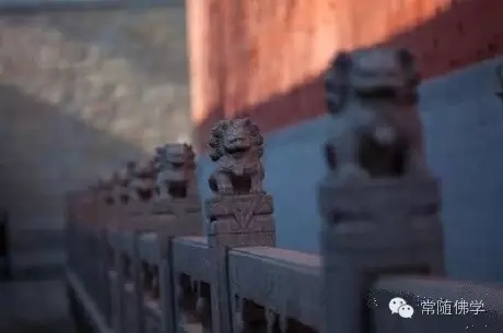 �ŷ�֮ʱӦ�ϳ��岻��