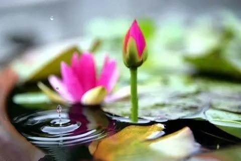 善恶一念间 善恶一念间