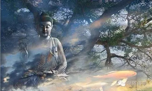 人生充满无常_这才是苦的根源 人生充满无常_这才是苦的根源