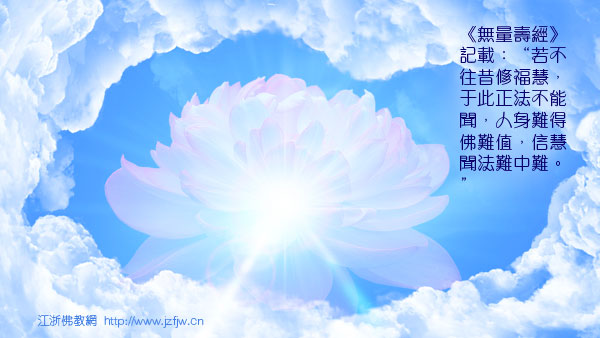 Ϊ����Щ��ؤ����Ҳ����������ӷ��ĸ��֣�