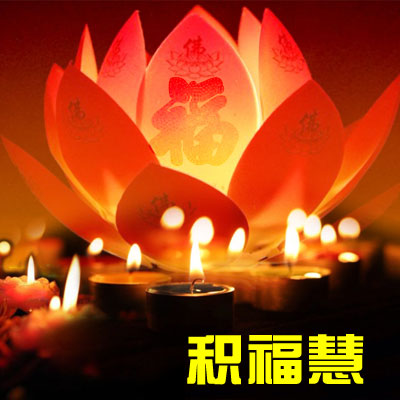 神奇的灯供 神奇的灯供