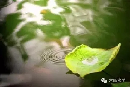 占便宜的人_实际是消耗了自己的福报 占便宜的人_实际是消耗了自己的福报