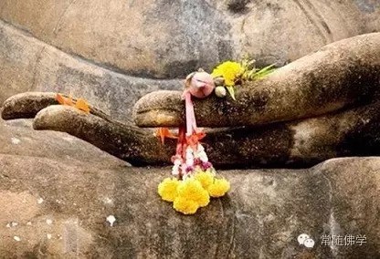 ���ӵļӳ���˳��_Ҳ���澳