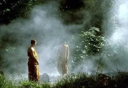 ������Ϊ�����_������Ϊ������