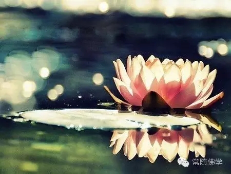 最损福报的几种行为_千万不要去做! 最损福报的几种行为_千万不要去做!