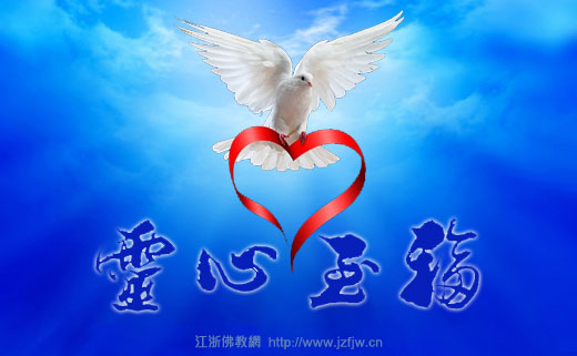 �ž���ʦ�����֡����١����ӵĳ�������