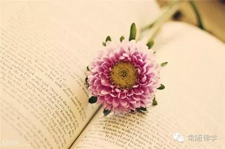 ��80������̸ѧ��ǰ��ı仯