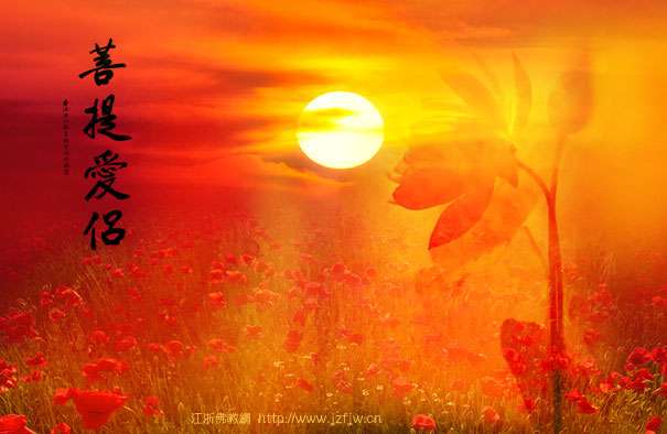 �������������ǺͰ���һ��������������ȥ����