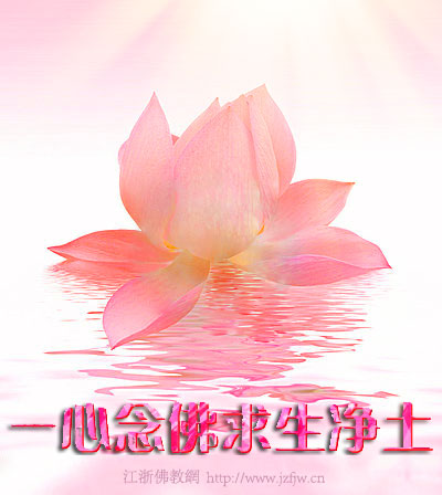 ������µ����