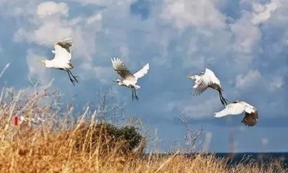 ��Ե�Ƿ���ִ������÷���