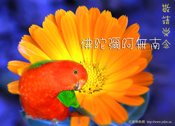 �ɻ�����ʱ�Һ�������������...