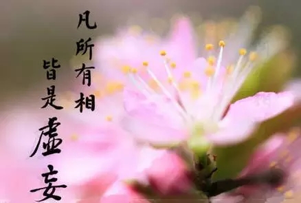 �������࣬��������