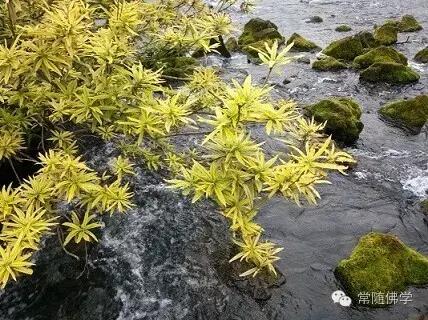 �����ݻ���ҵ��������