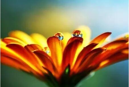 ���Ҿ�������