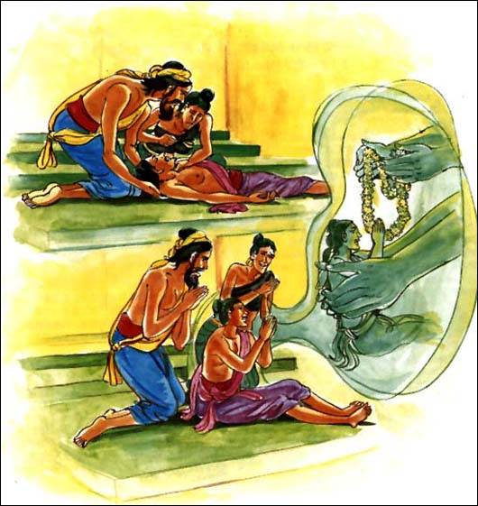 ��������ʧ����֮����Ƚ�