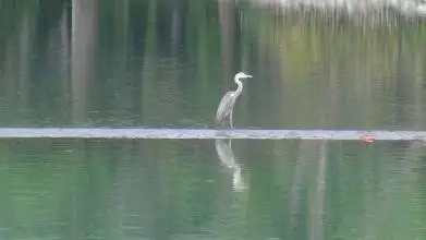 我不思,故我在 我不思,故我在